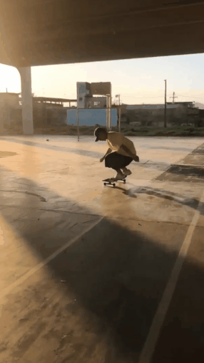 bs flip sunshine.gif
