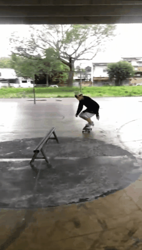 bigflip fs board.gif