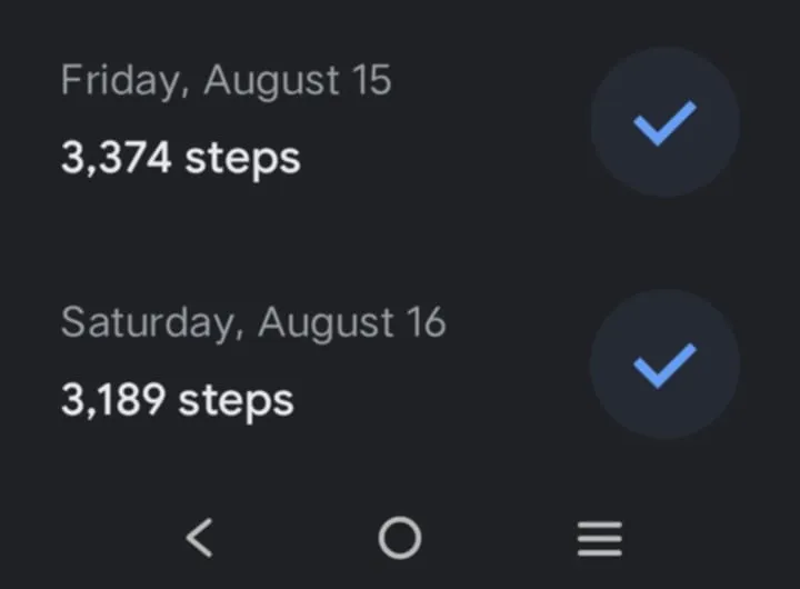 frisatsteps.jpg