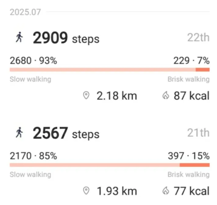 dailysteps.jpg