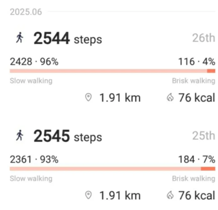 dailysteps2.jpg