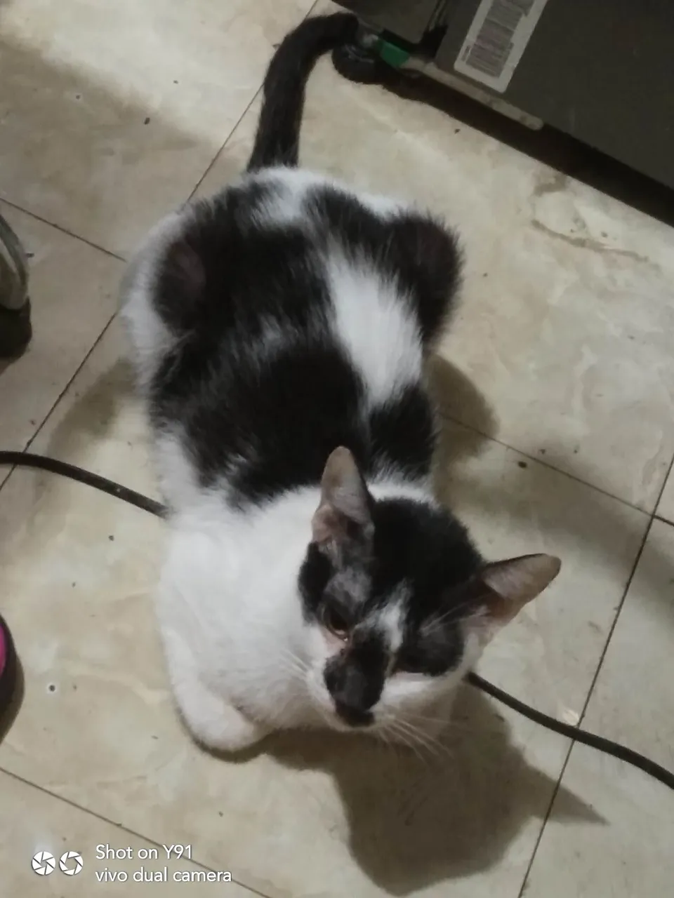isitdinnertime-Nian.jpg