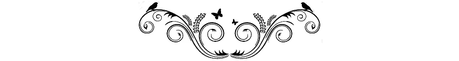 png-transparent-text-separador-others-miscellaneous-text-author.png