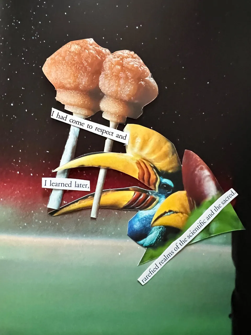 Cosmic Nature, November 2023, UK