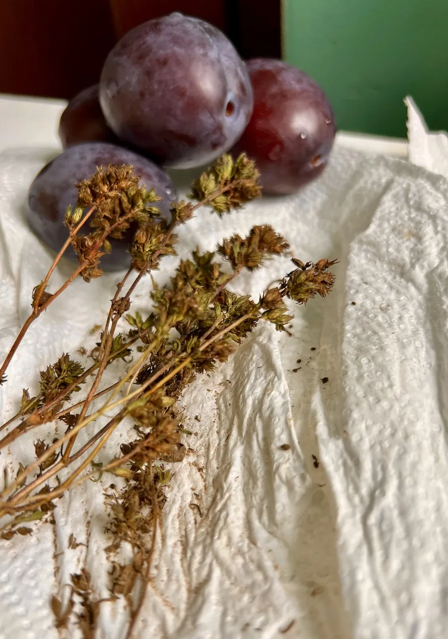 Plums & Thyme-Summer savory / Wisdom + Knowledge & Clarity + Strenght + Eternal Life, Romania 2023
