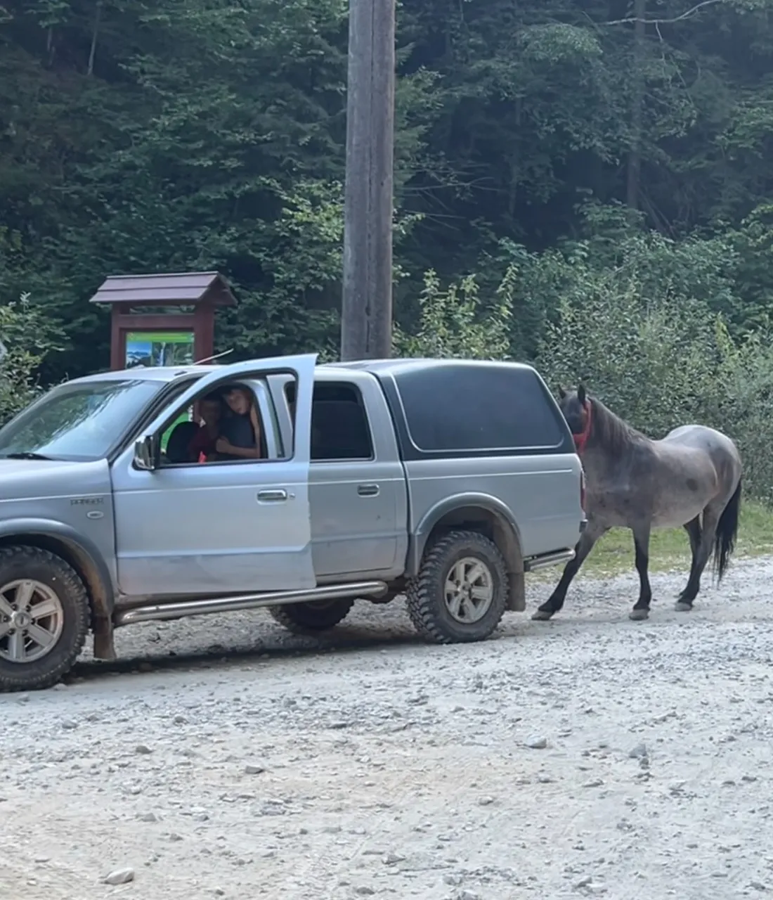 Two young brothers, their dads car and horse perhaps… no clue.. I just passed by and saw this scene… oh wild RawMania.