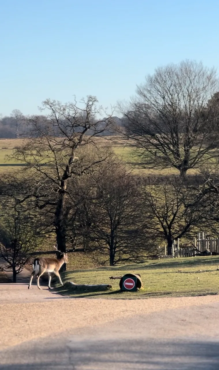 heading to my field, do not disturb!….see the sign?