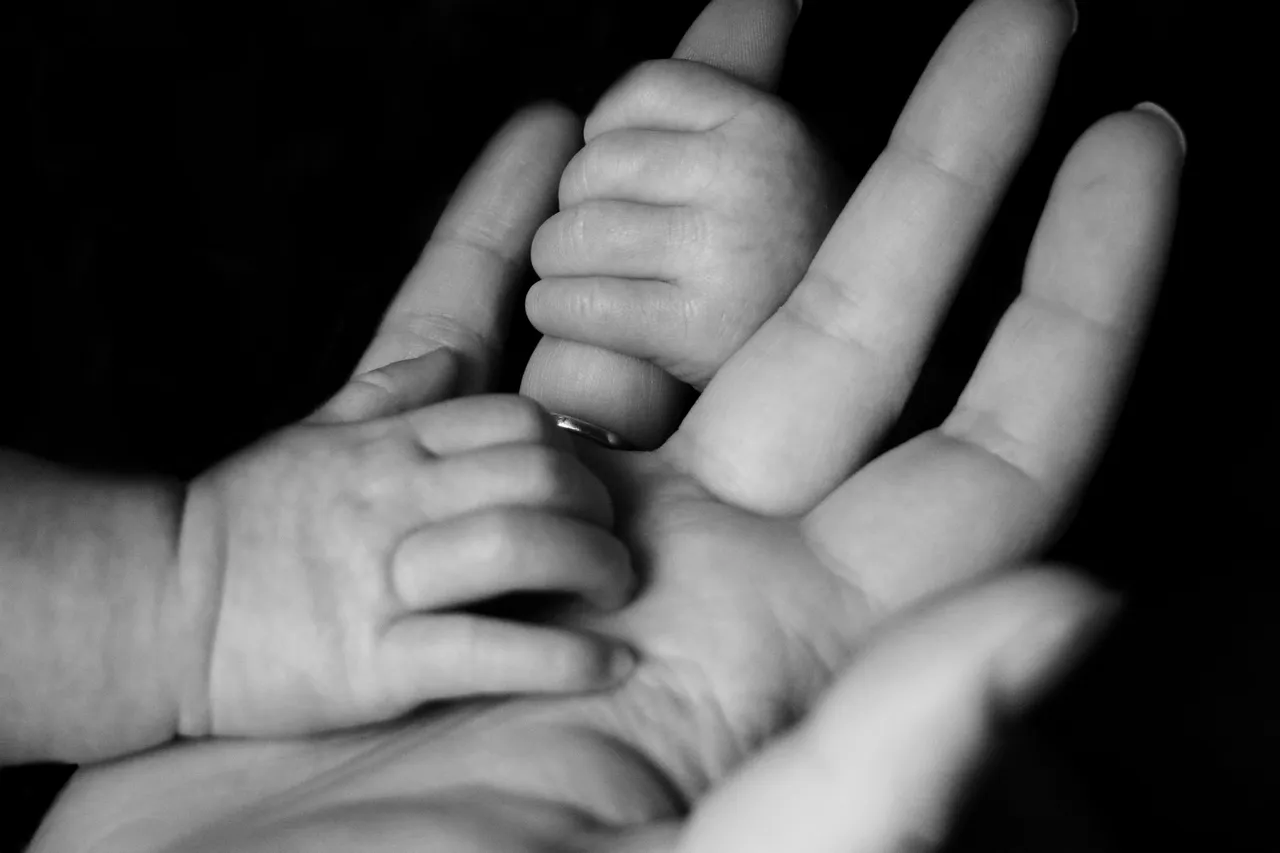 liv-bruce-M0oVPGsWk1E-unsplash (1).jpg