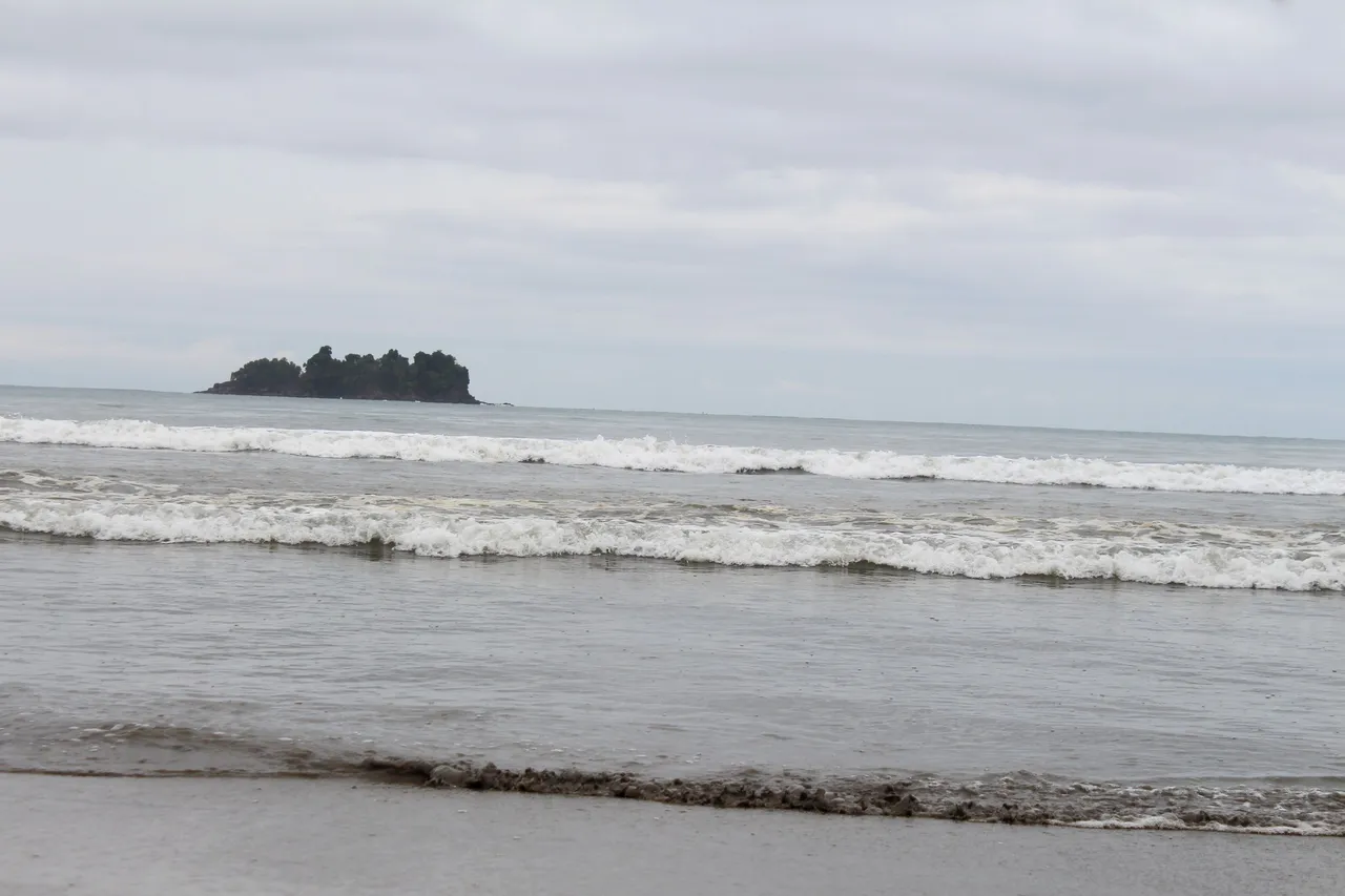 IMG_5979.JPG