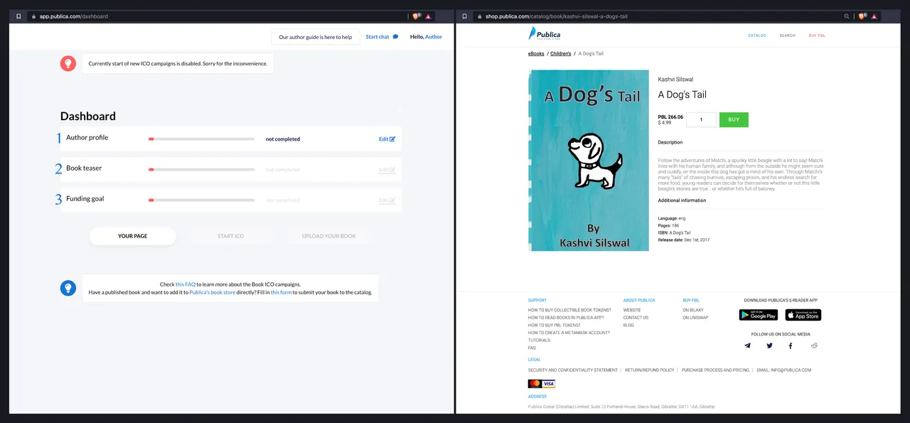 Publica-Screencap-Setup-to-BookPage.png