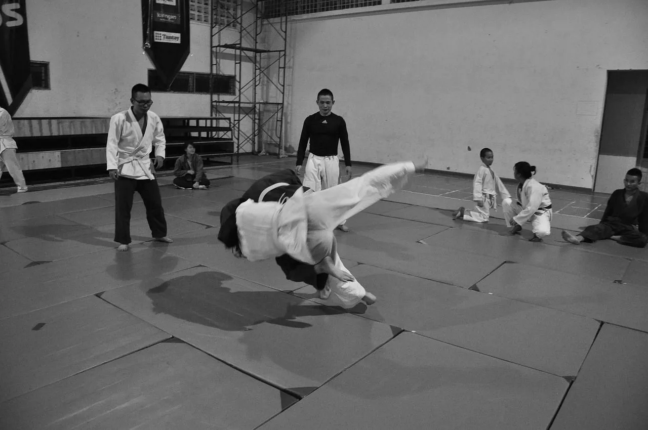 judo-g500d5dd2b_1280.jpg