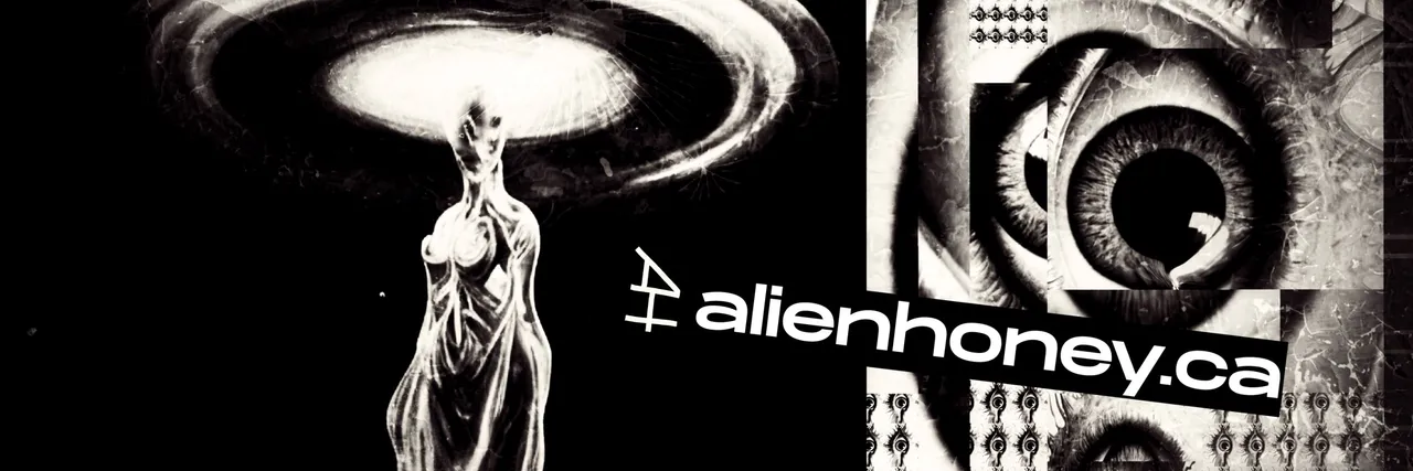 signal_twitter_banner.jpg