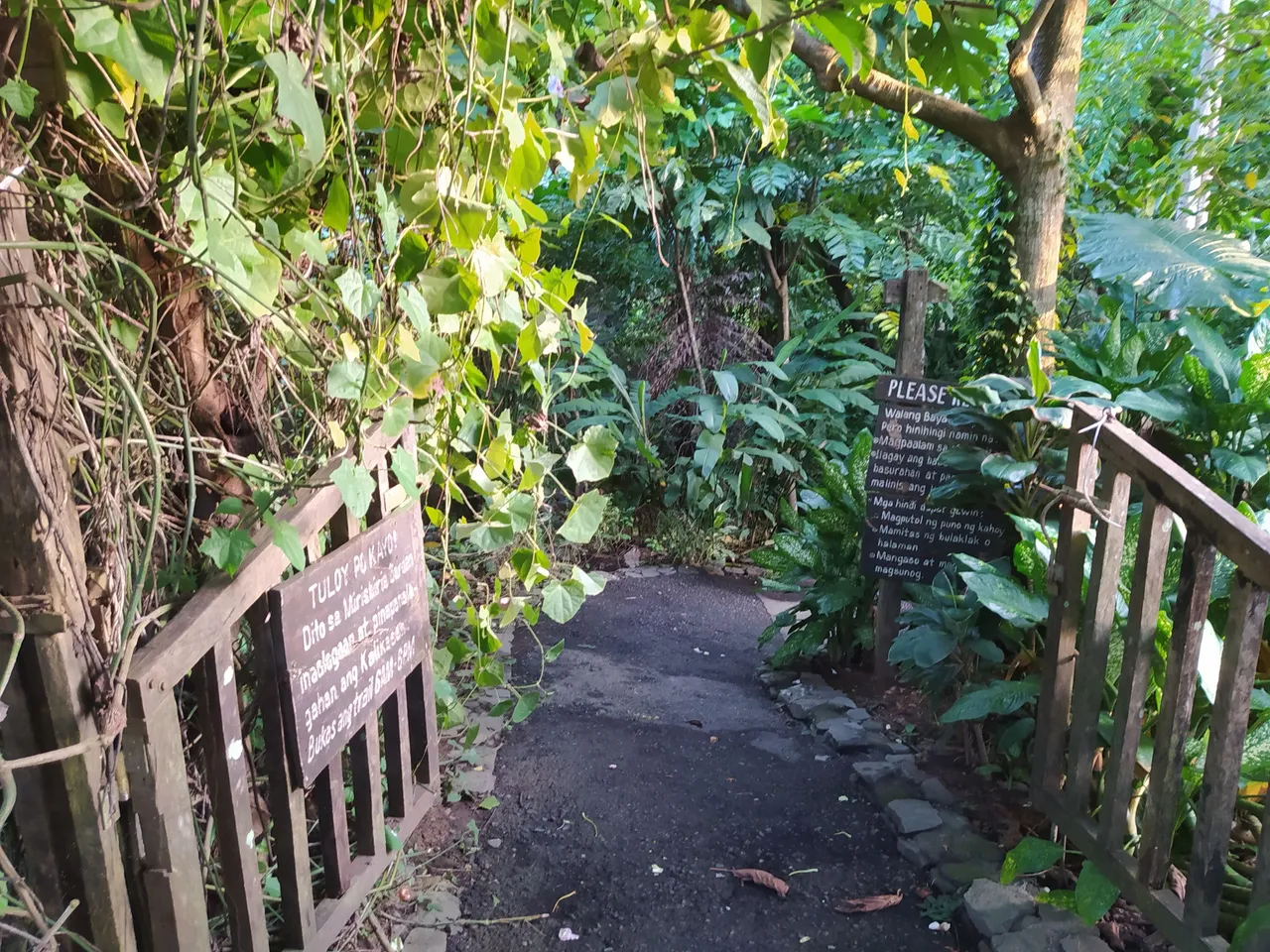 The trail.jpg