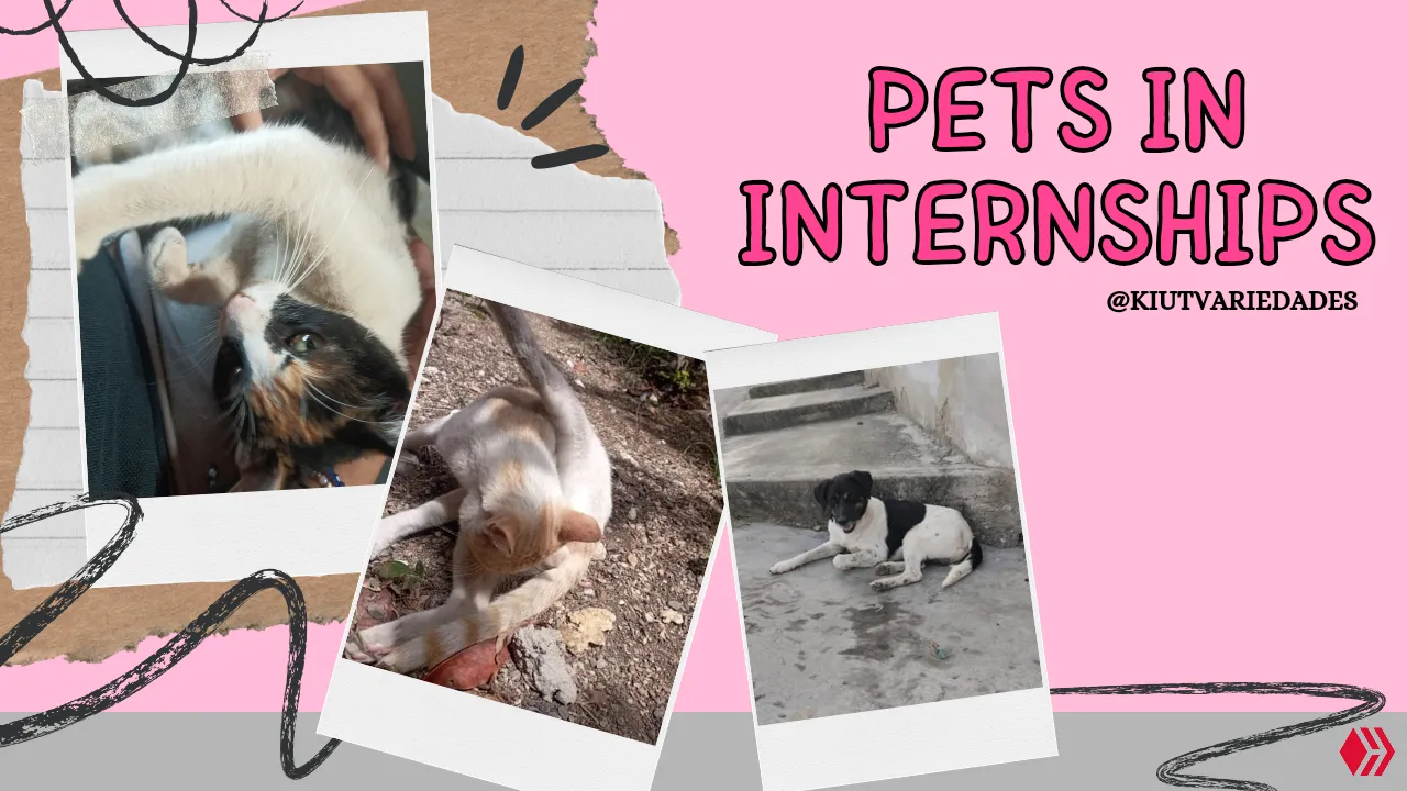 Image of my property created in Canva
