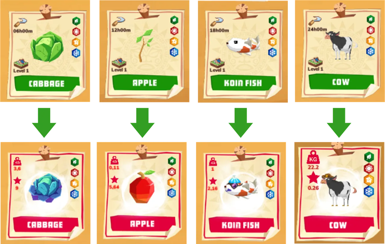 seeds.png