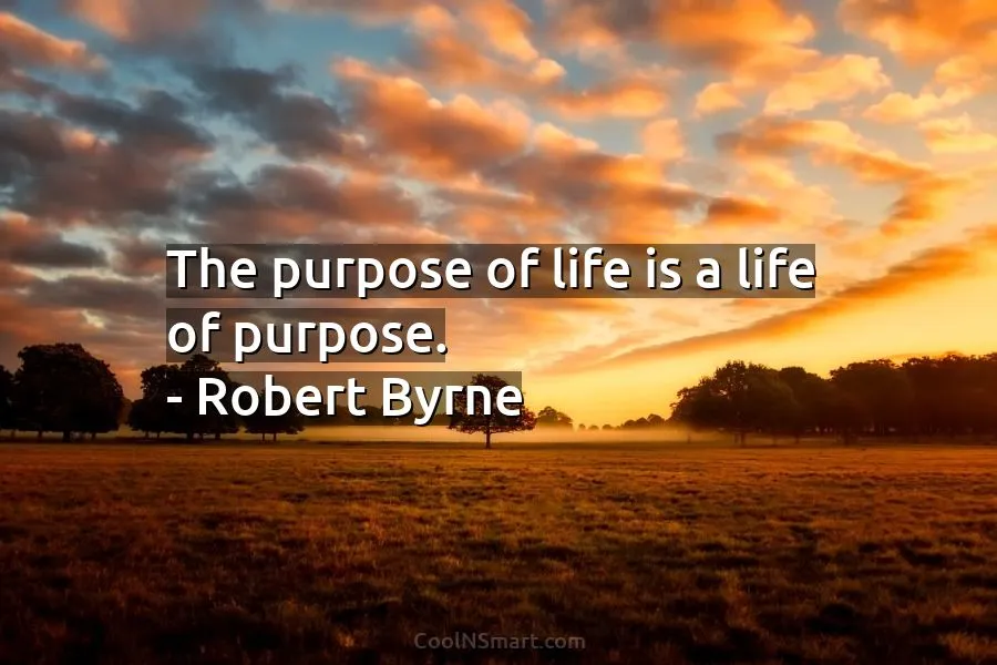 the-purpose-of-life-is-a-life-2281-1.jpg