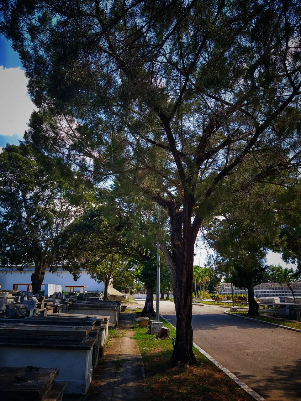 IMG_20221027_131139762_HDR-02.jpeg