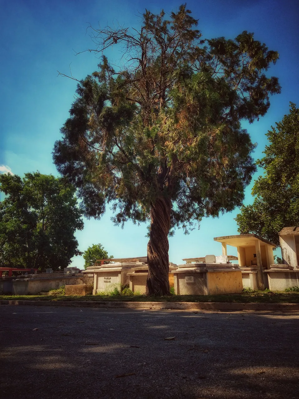 IMG_20221027_133215777_HDR-01.jpeg