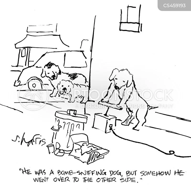 animals-bomb_sniffing_dog-bomb_sniffing_dog-canine-explosive-explosion-shrn6012_low.jpg