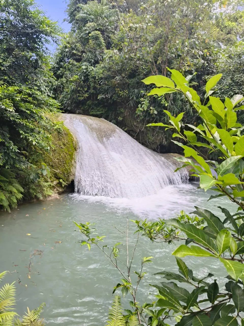 25e8d126-dce2-4459-a579-99f9f934e65f.jpeg