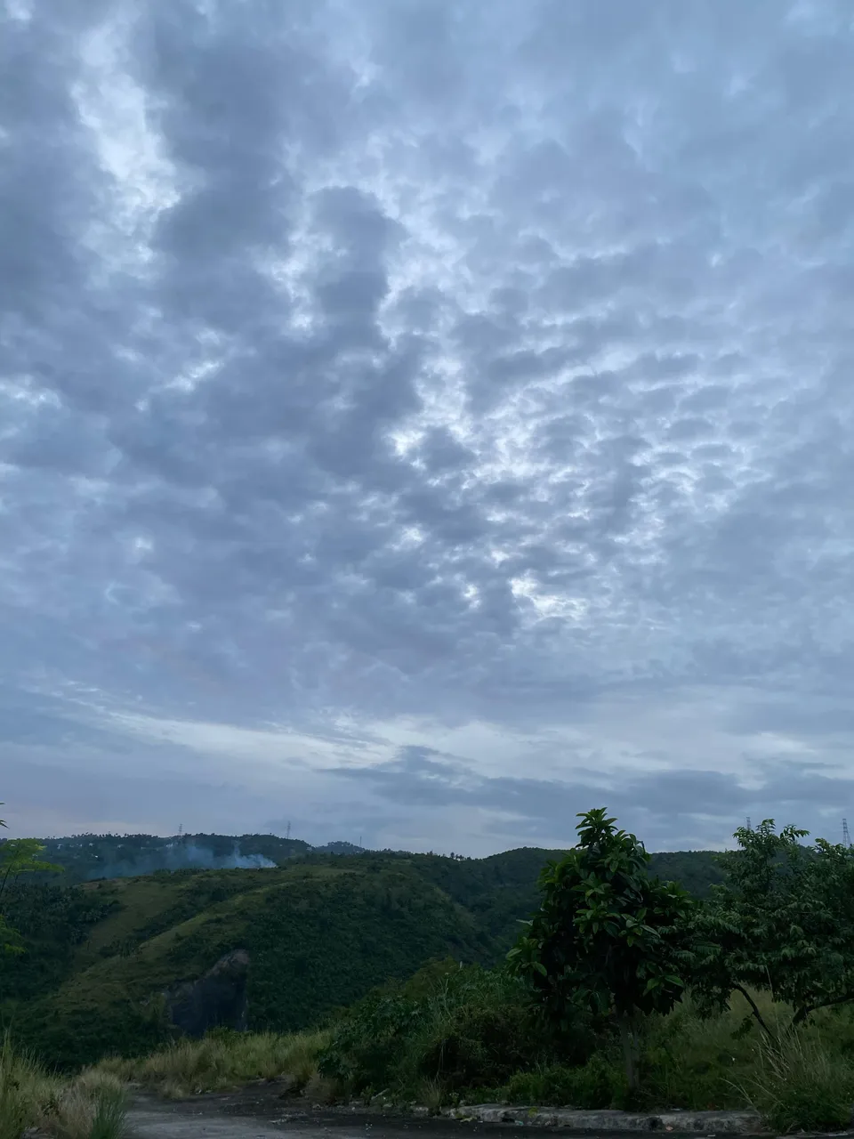 bd6b8c2d-afa9-419d-9dba-d78d38e6fc13.jpeg
