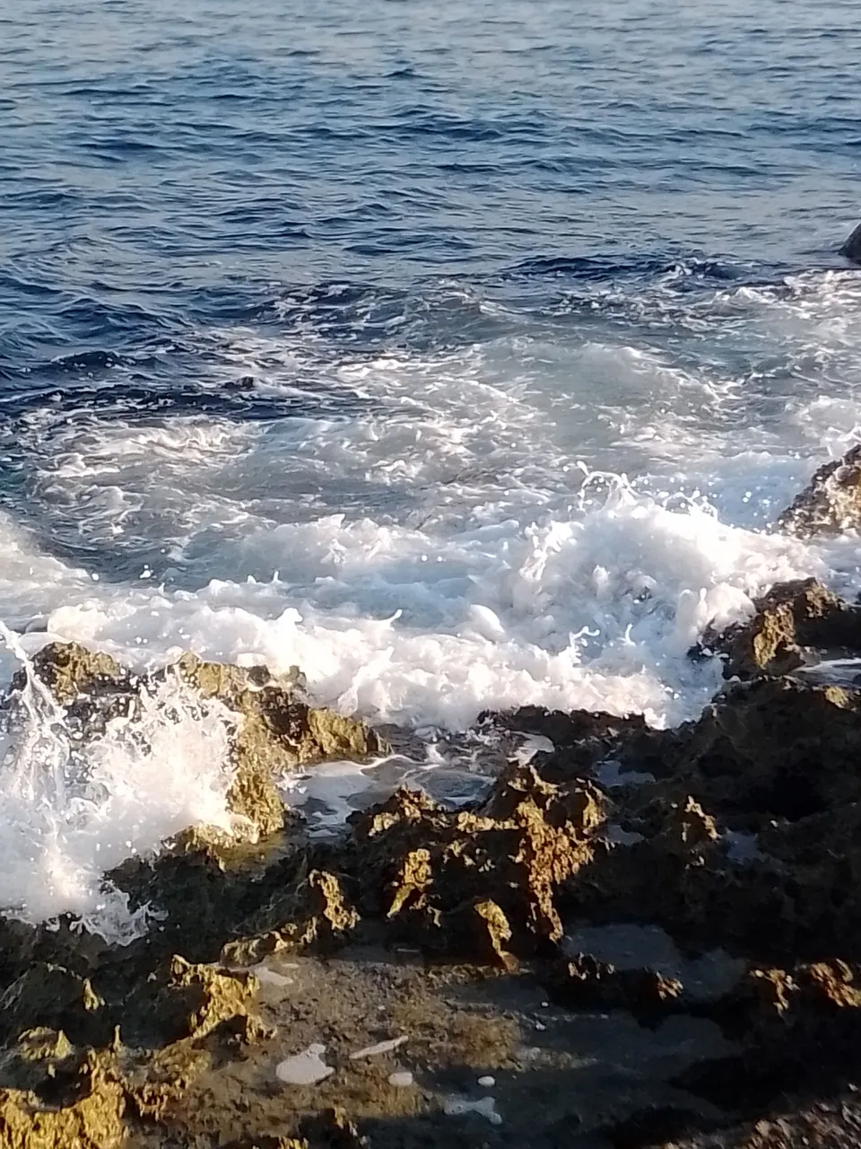 IMG_20250414_081854.jpg
