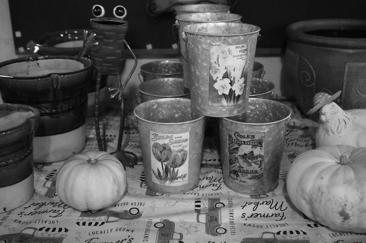 DSC01178.ARW-1.jpg