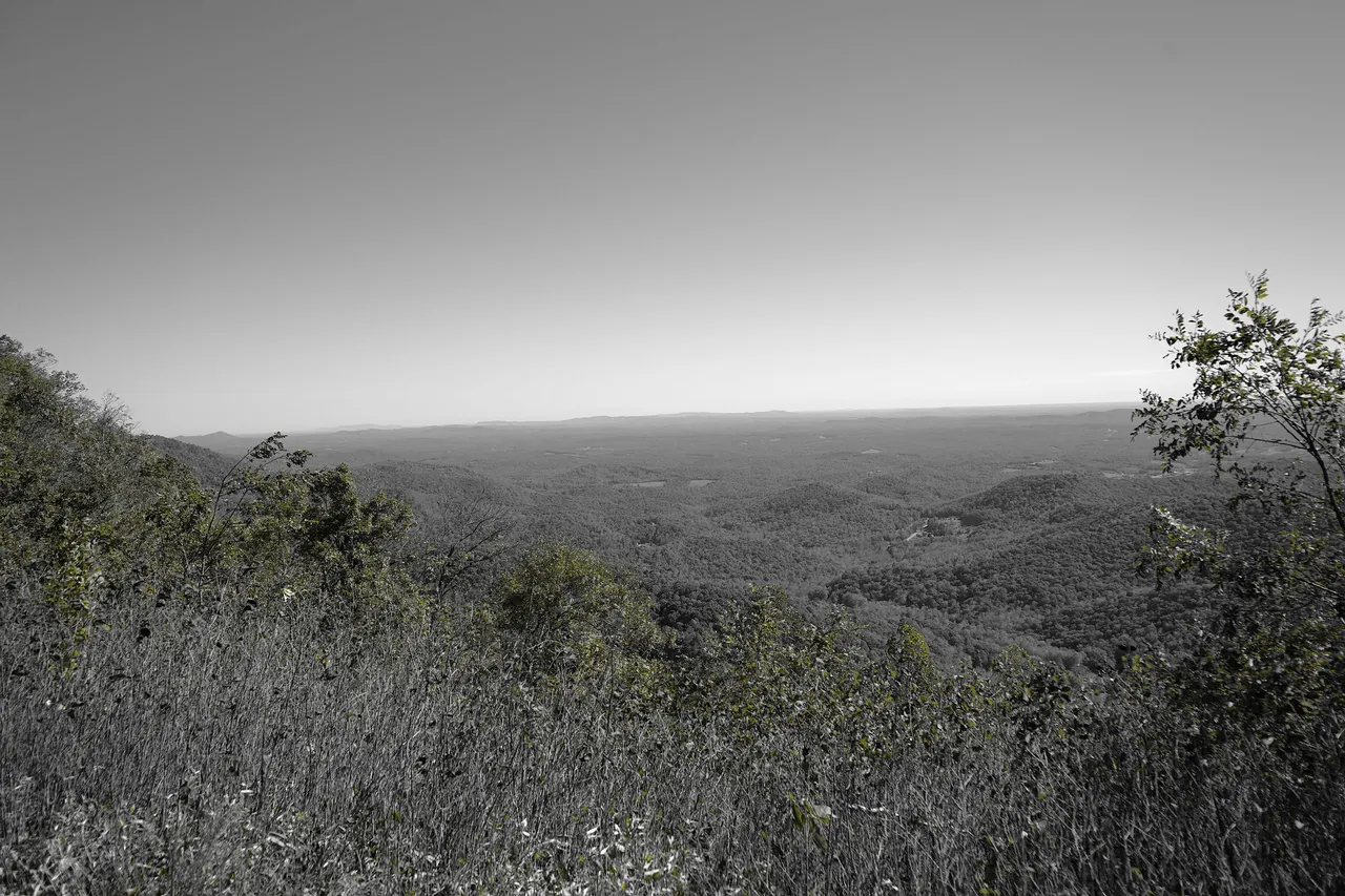 BWA7_00902.JPG