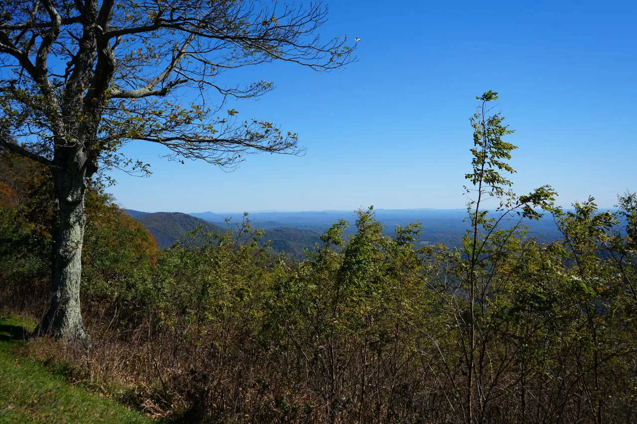 A7_00901.JPG