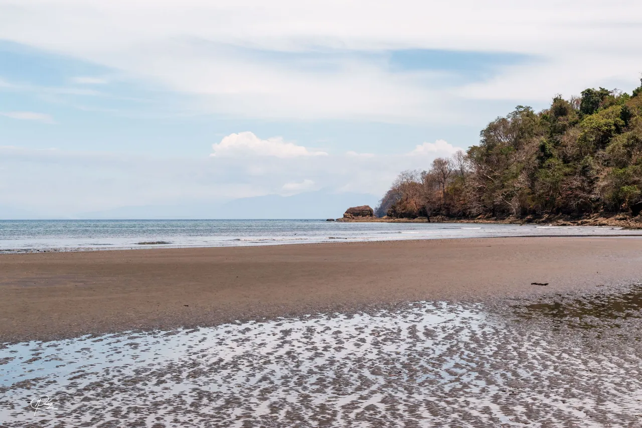 Curu Wildlife Refuge. Puntarenas, Costa Rica-2.jpg