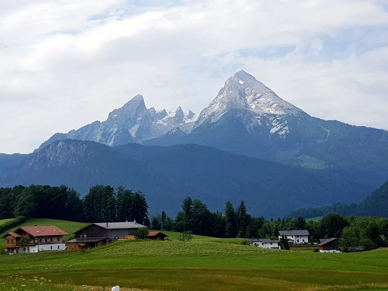 20190719_105024.jpg