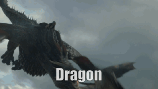 ezgif-1-2a095d98e1.gif