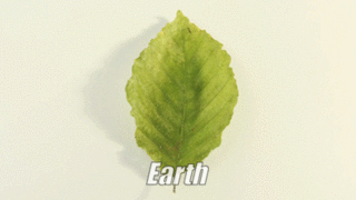 ezgif-4-d59b066cb9 (1).gif