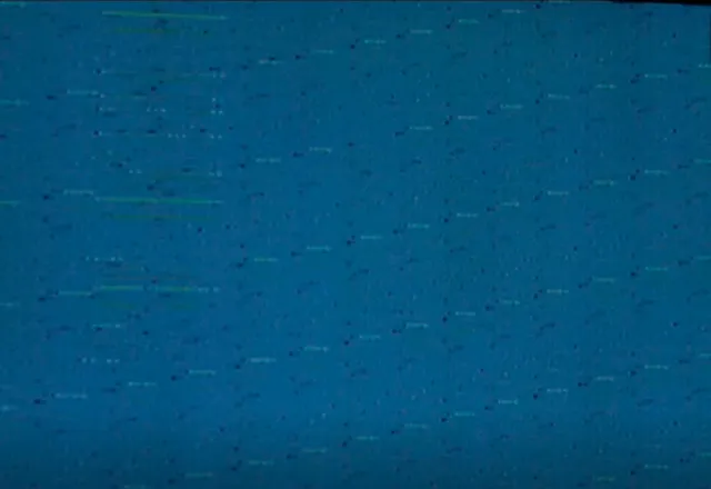 thumbnail_Screen Shot 2021-03-20 at 10.35.38 AM.png