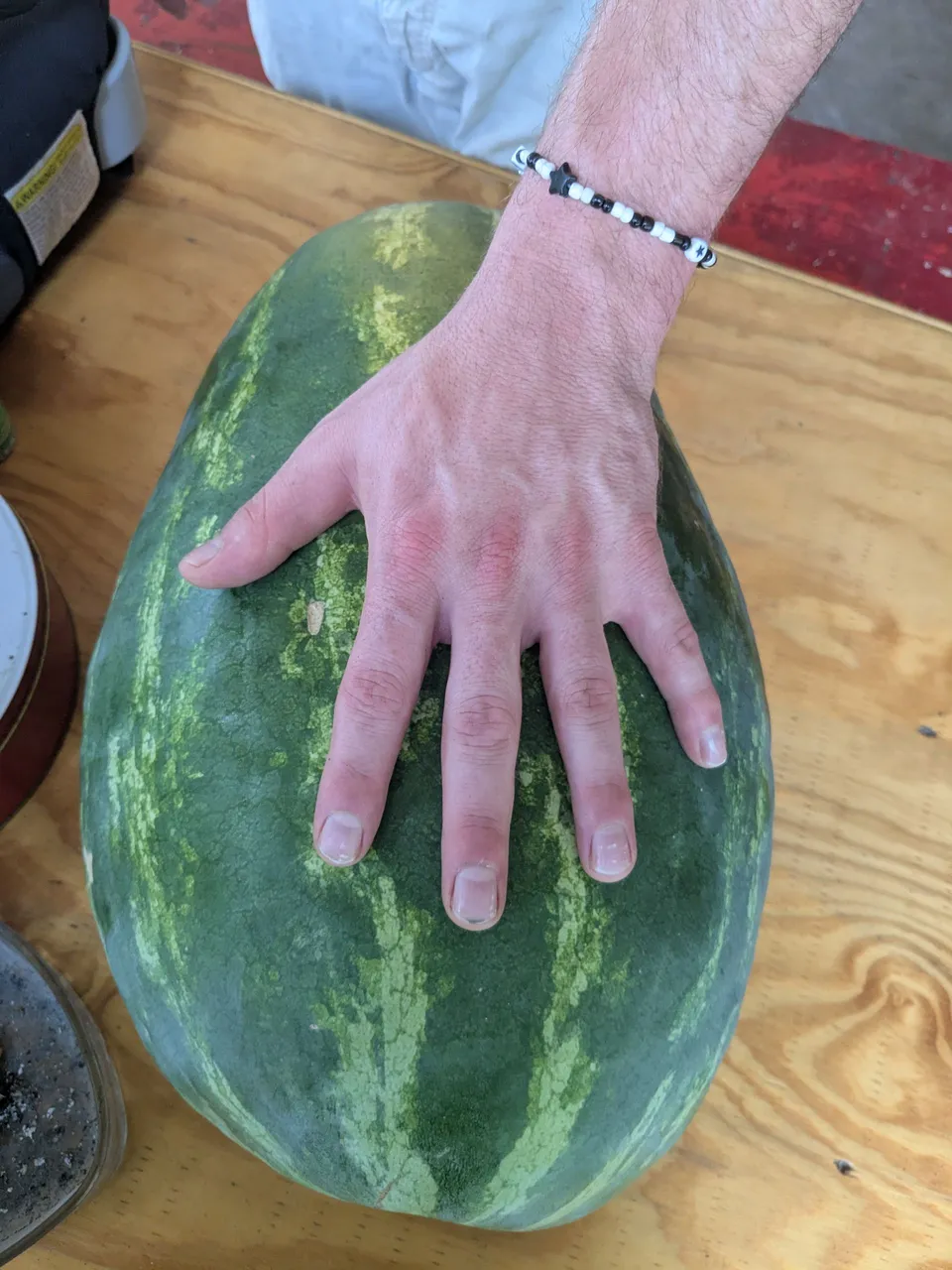 1000004720.jpg