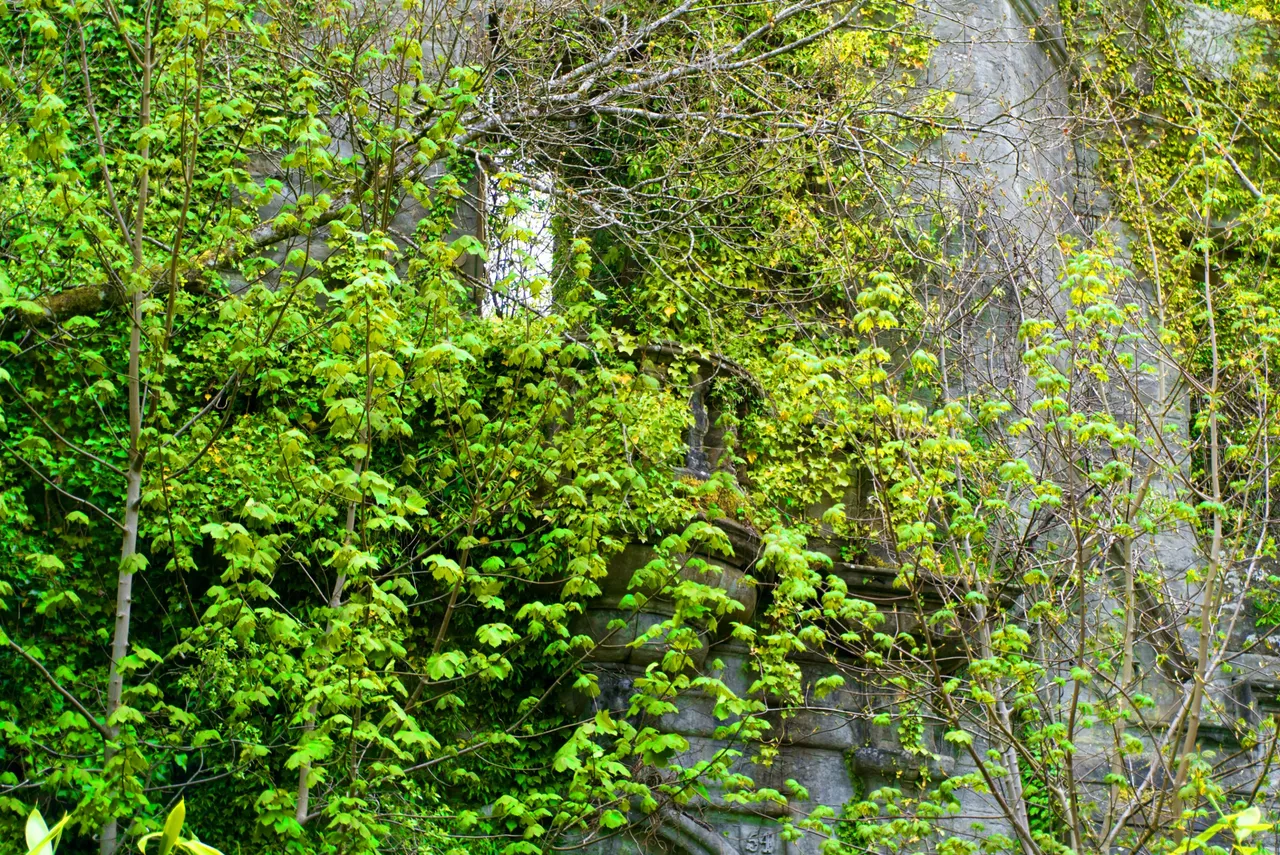 DSC02283.jpg