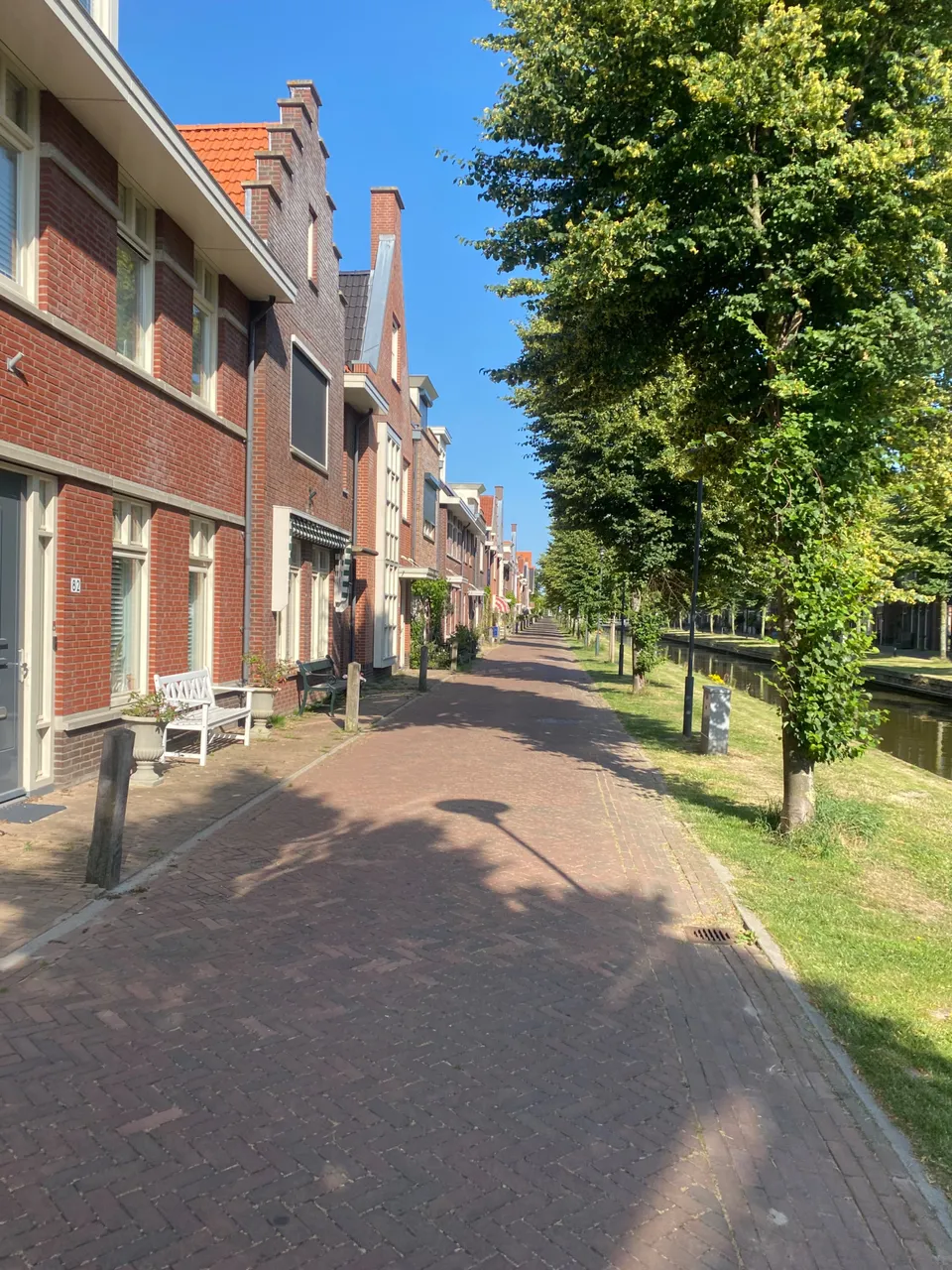 IMG_2005.jpeg