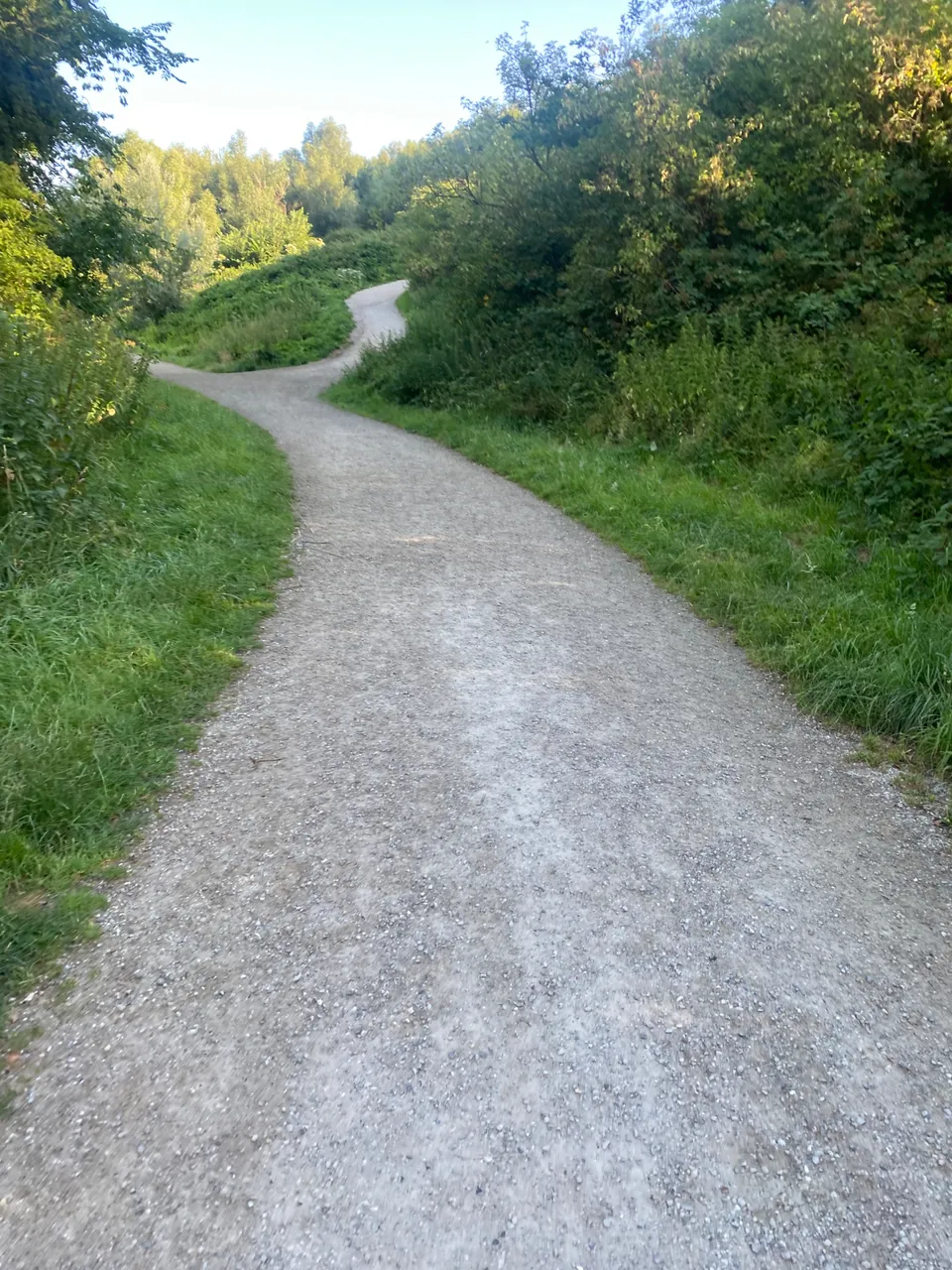 IMG_2202.jpeg