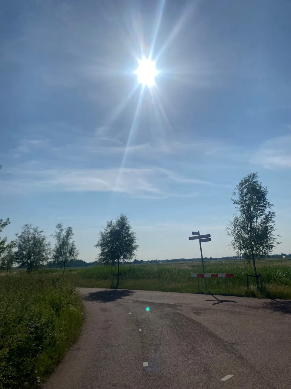 IMG_1994.jpeg