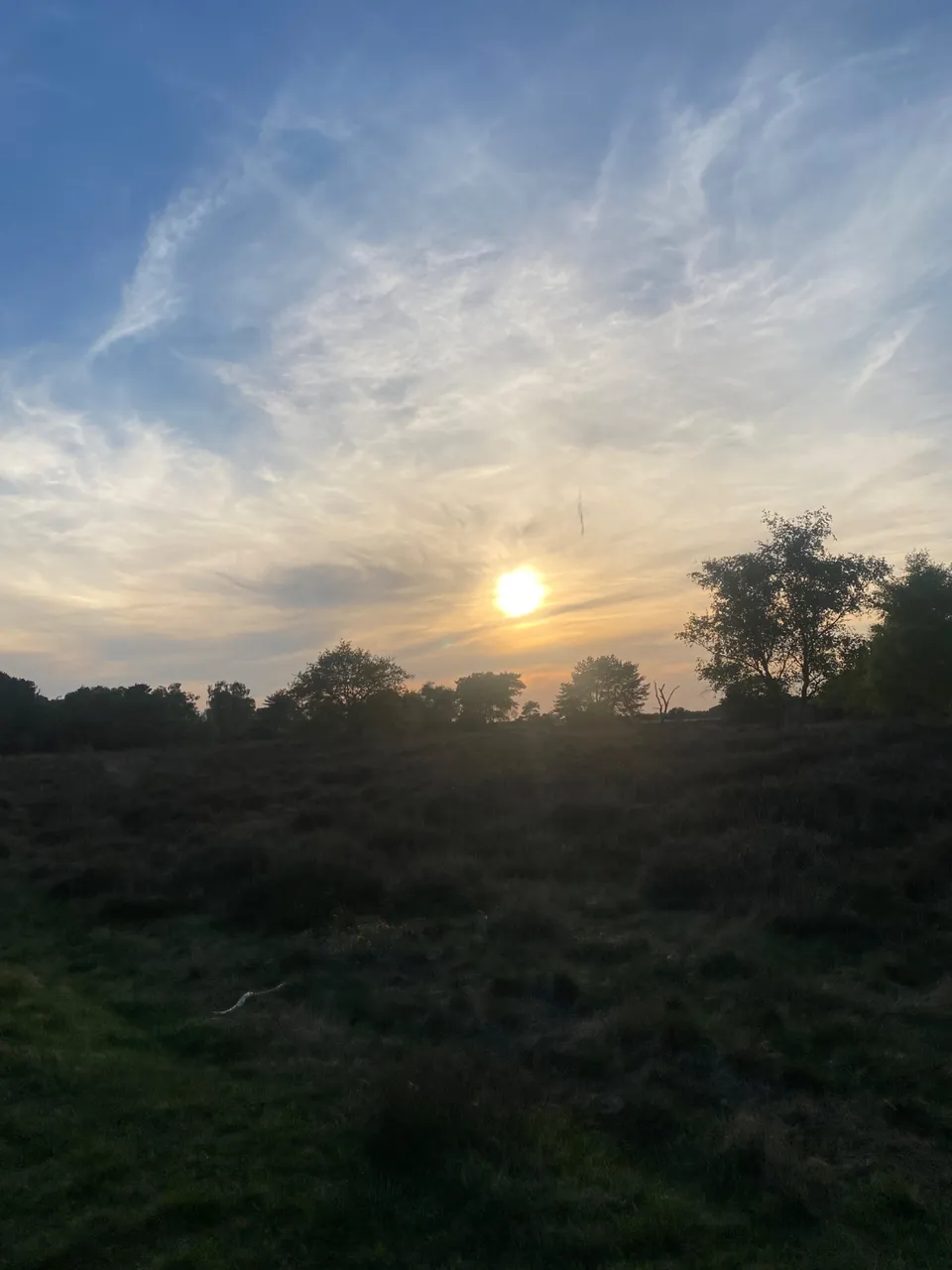 IMG_9984.jpeg