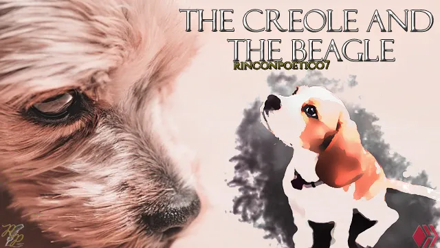 portada el criollo y el beagle.jpg