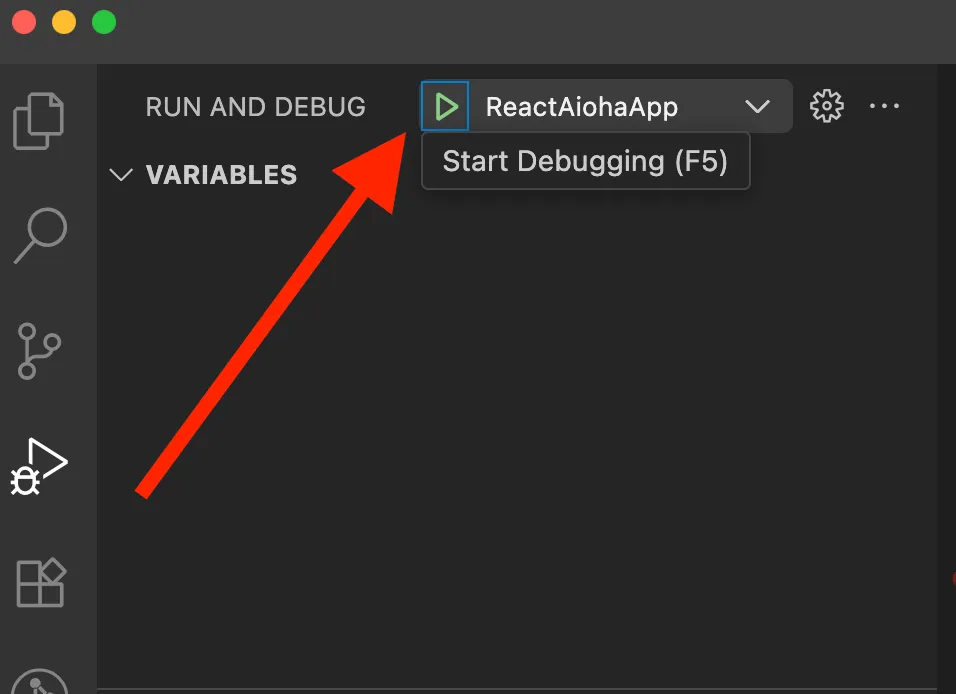 VS Code Debug
