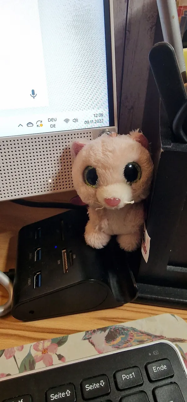pc Glubschi.jpg