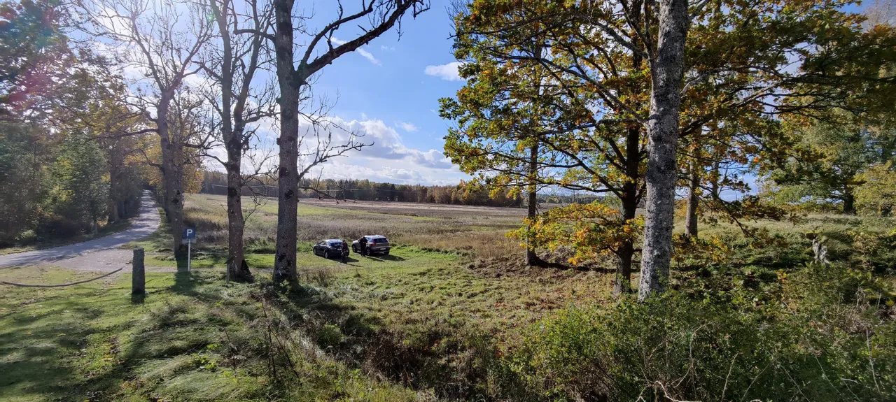 You can park on the grass, near Kägleholm Castle ruin