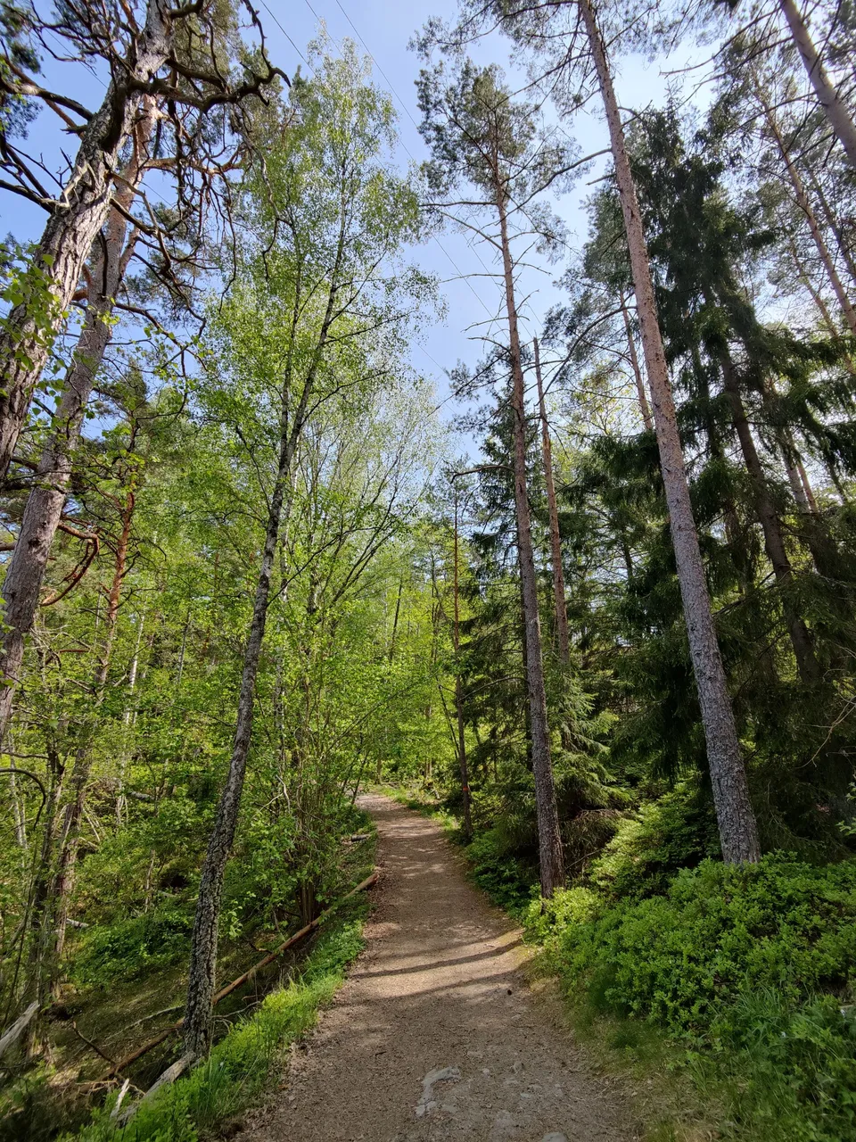 Photo taken by Shahzad Ansari through Oneplus 9 Pro