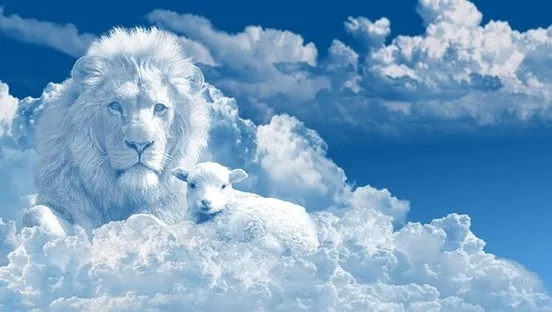 bear7670877__340.webp
