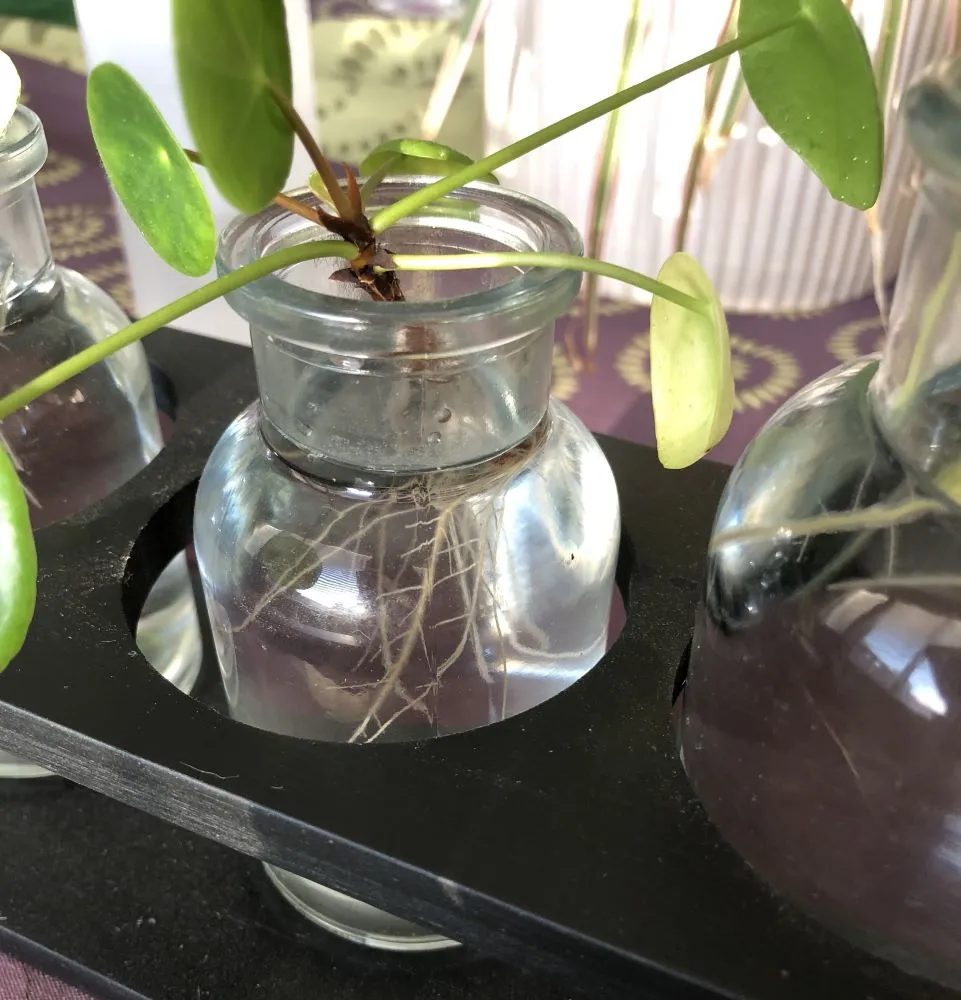 WaterPropagation3.jpg