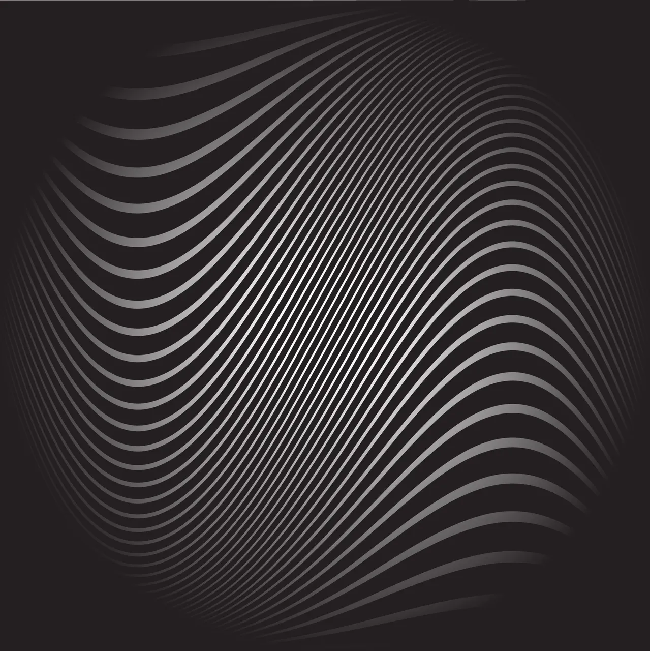 zebra copy.jpg