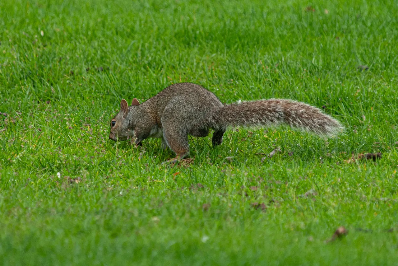 P1011512 copy.jpg