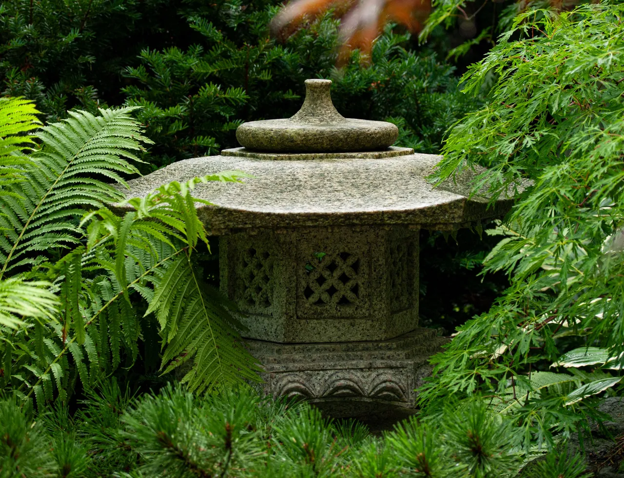 P1013643 copy.jpg